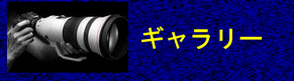 �M�������[